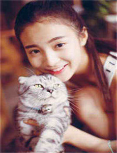 picasa教程,一个人视频在线观看日本